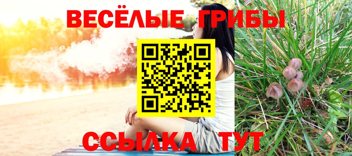 Галлюциногенные грибы мухоморы Алатырь