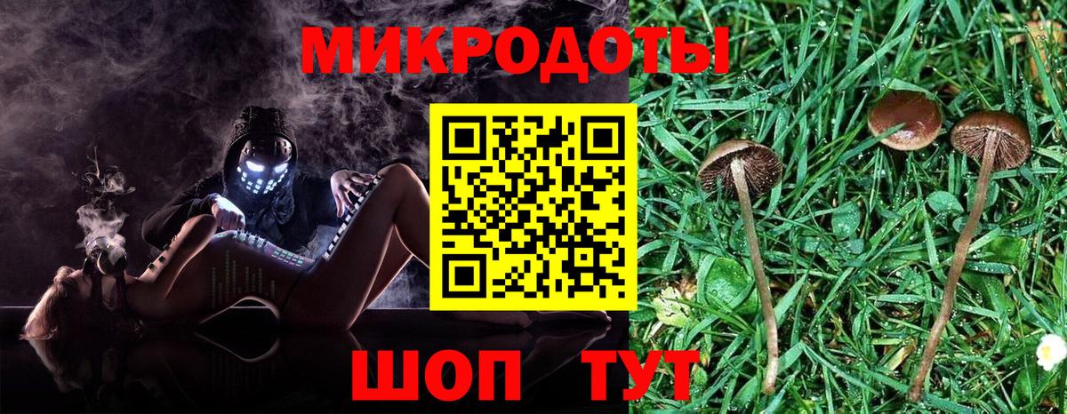 Алатырь  Псилоцибиновые грибы Cubensis  Вход с VPN  Псилоцибиновые грибы Psilocybe 